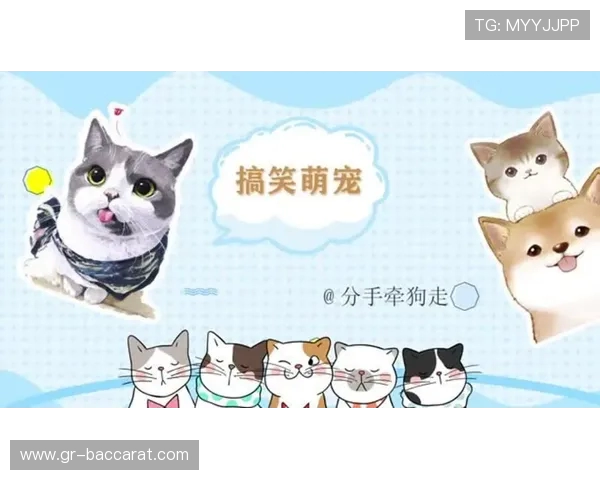 《我是小猫咪游戏通关攻略全面解析从入门到精通》 《我是小猫咪游戏通关攻略全面解析从入门到精通》